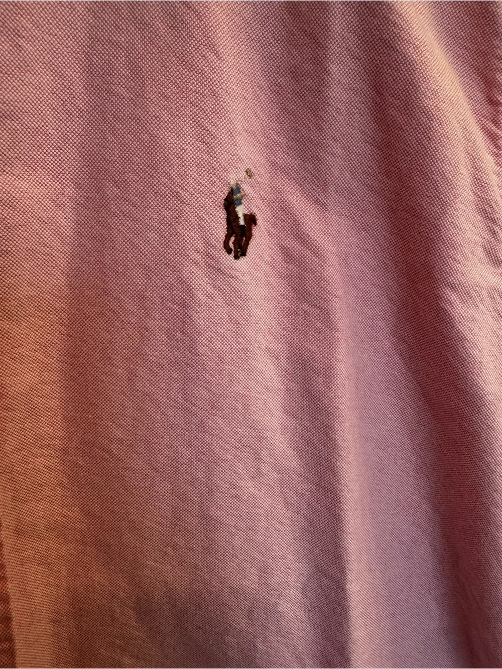 Ralph Lauren Pink Button-Down Oxford Shirt